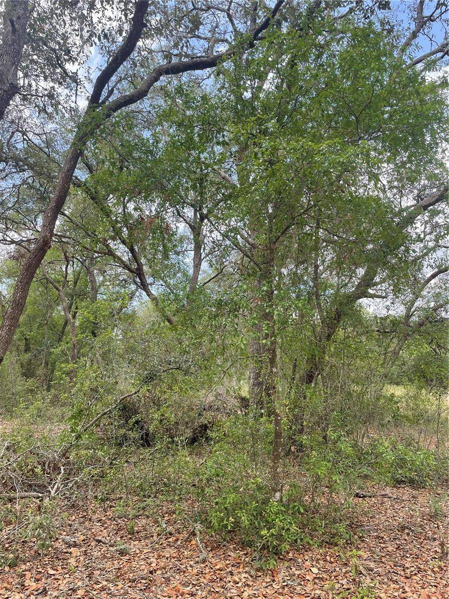 JUNIPER ST, Lady Lake, FL 32159
