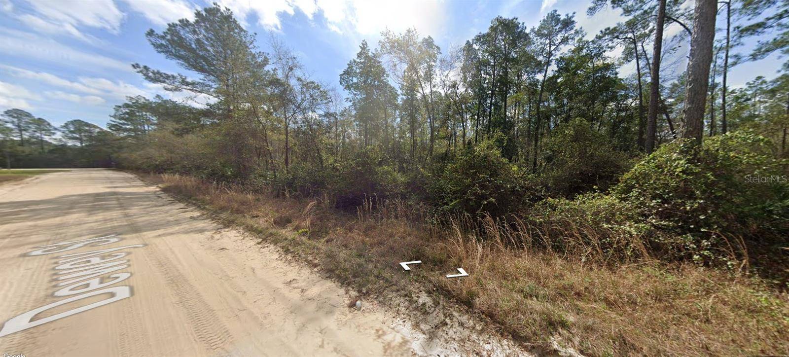 BLOCK 246 LOT 3, Interlachen, FL 32148
