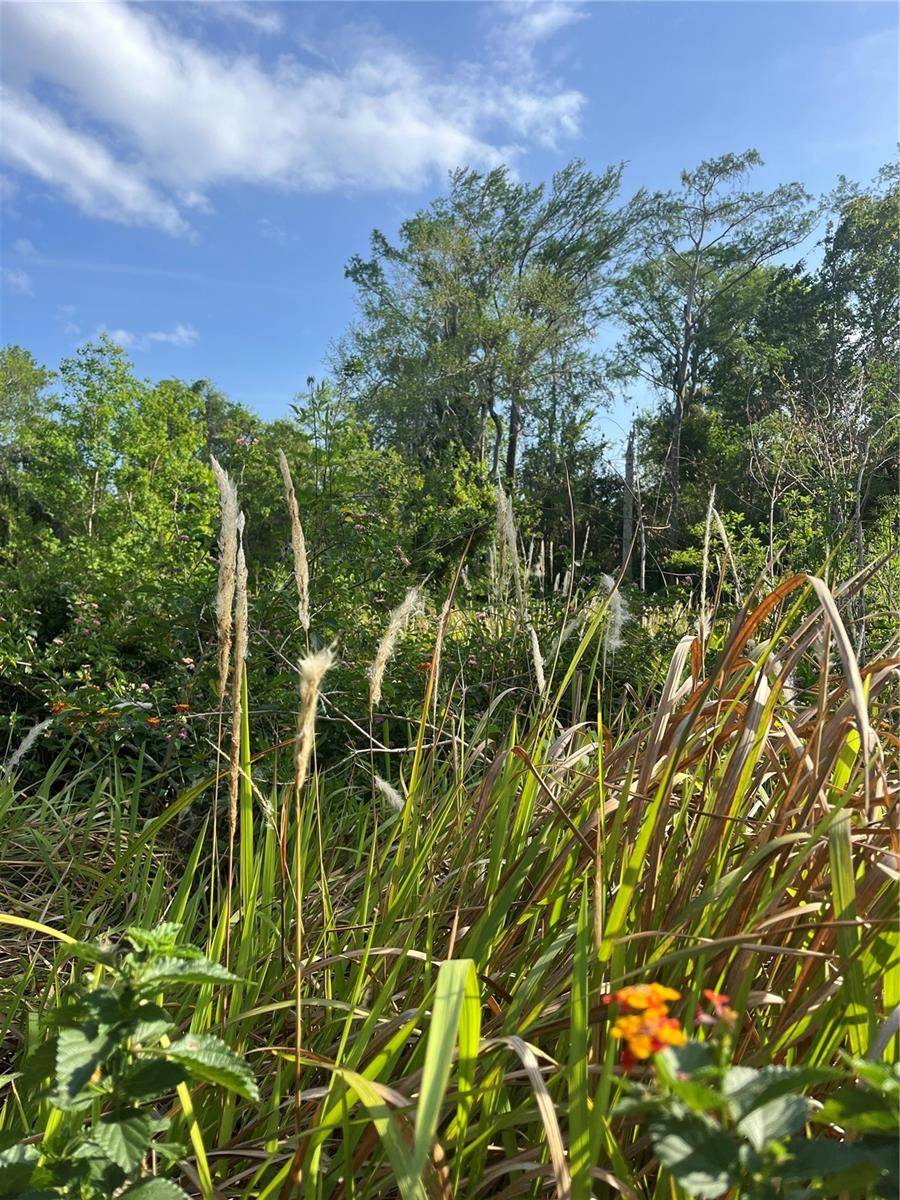 HARVEST LN, Kissimmee, FL 34744