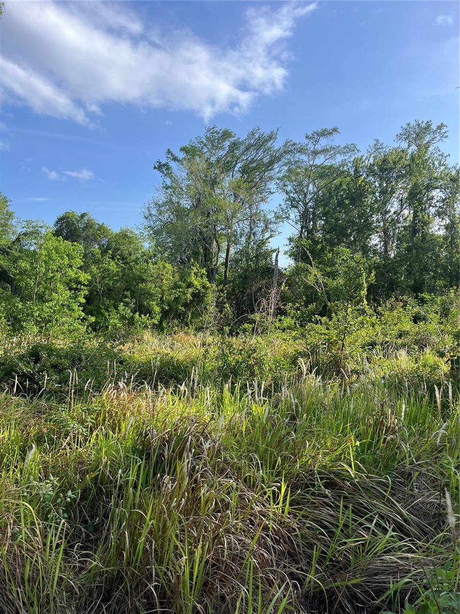 HARVEST LN, Kissimmee, FL 34744