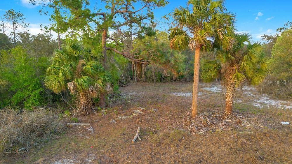 1411 SARASOTA CT, Poinciana, FL 34759