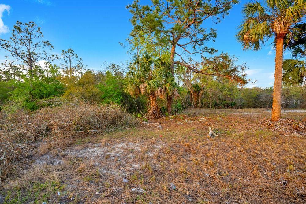 1411 SARASOTA CT, Poinciana, FL 34759