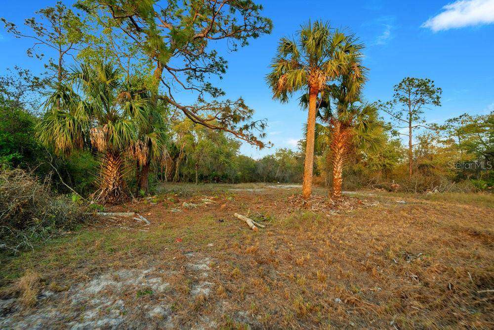 1411 SARASOTA CT, Poinciana, FL 34759