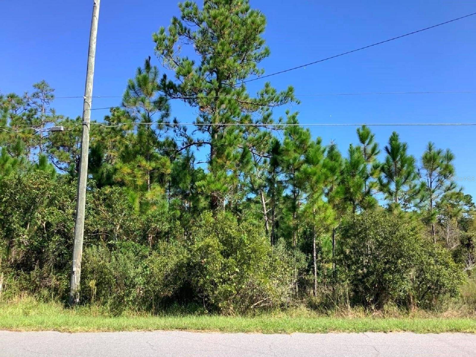00000 SHELDON ST, Orlando, FL 32833