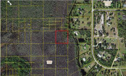 HOLOPAW GROVES RD, St Cloud, FL 34773