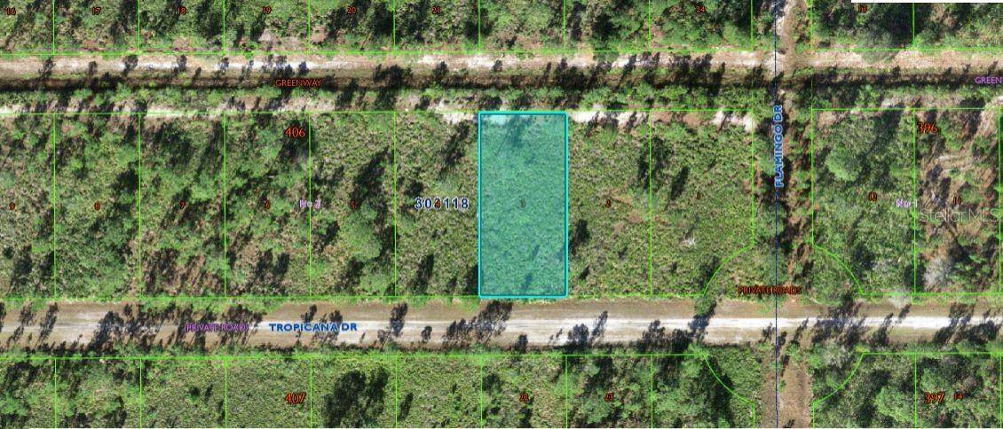 706 TROPICANA DR, Indian Lake Estates, FL 33855