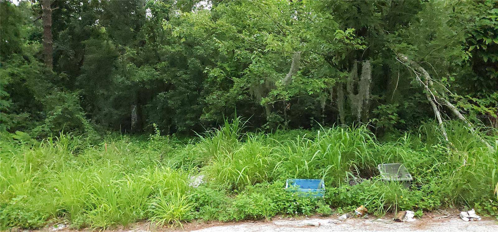 PARK AVE, Sanford, FL 32771
