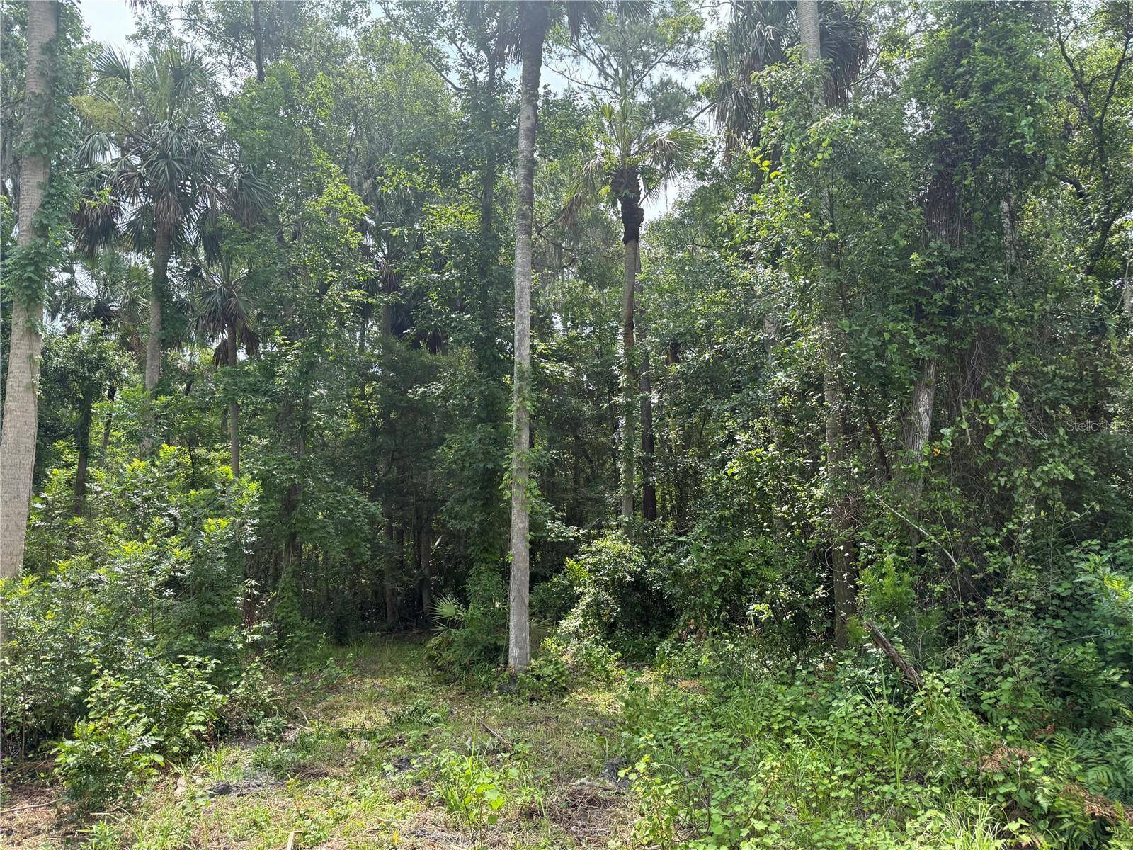 OKALOOSA TRL, Sorrento, FL 32776