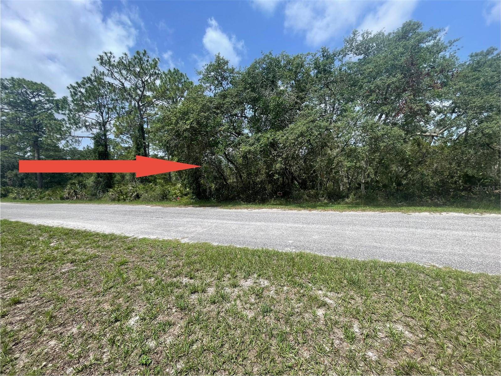 E CASHEW CT, Eustis, FL 32736