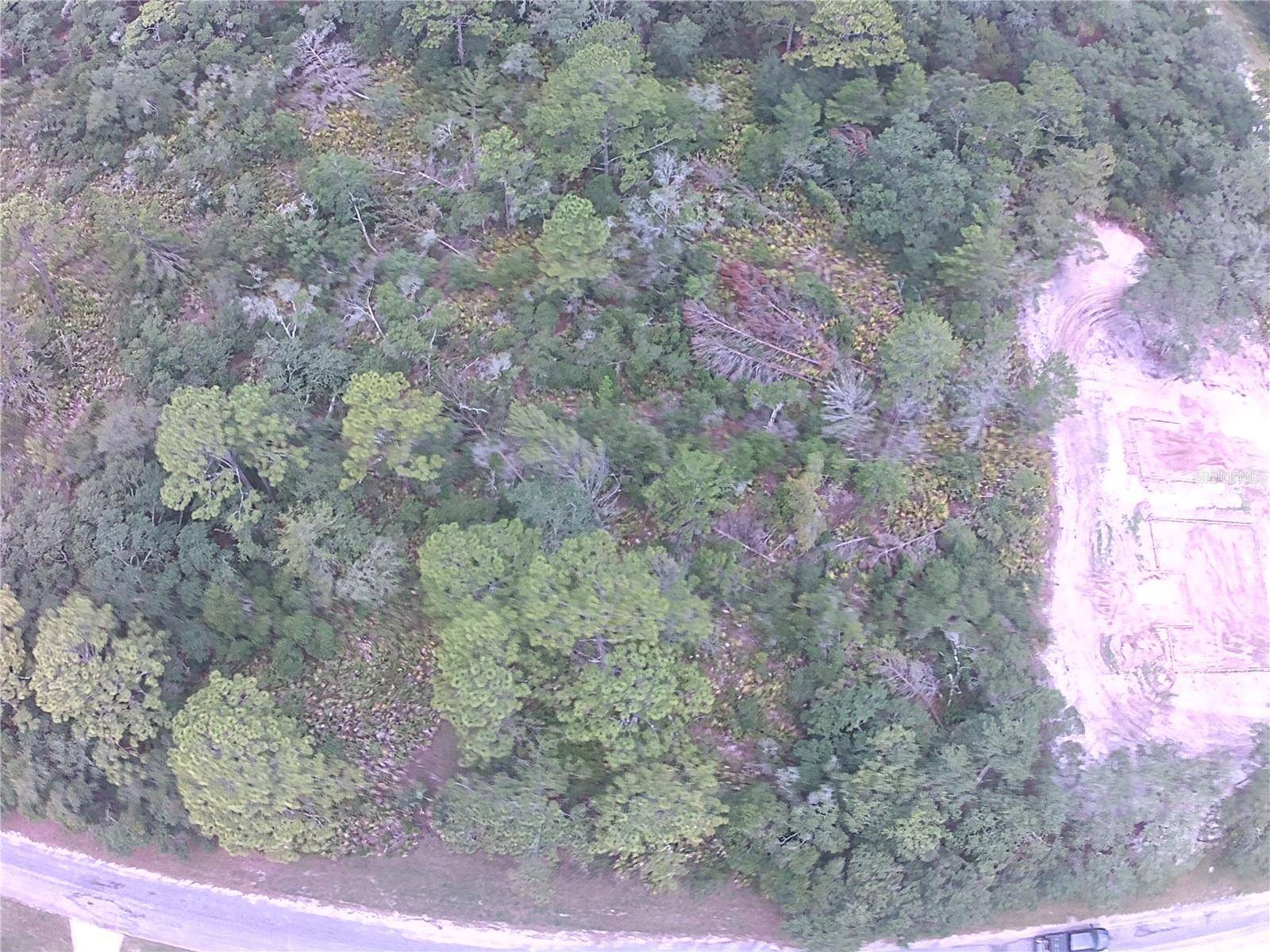 E CASHEW CT, Eustis, FL 32736