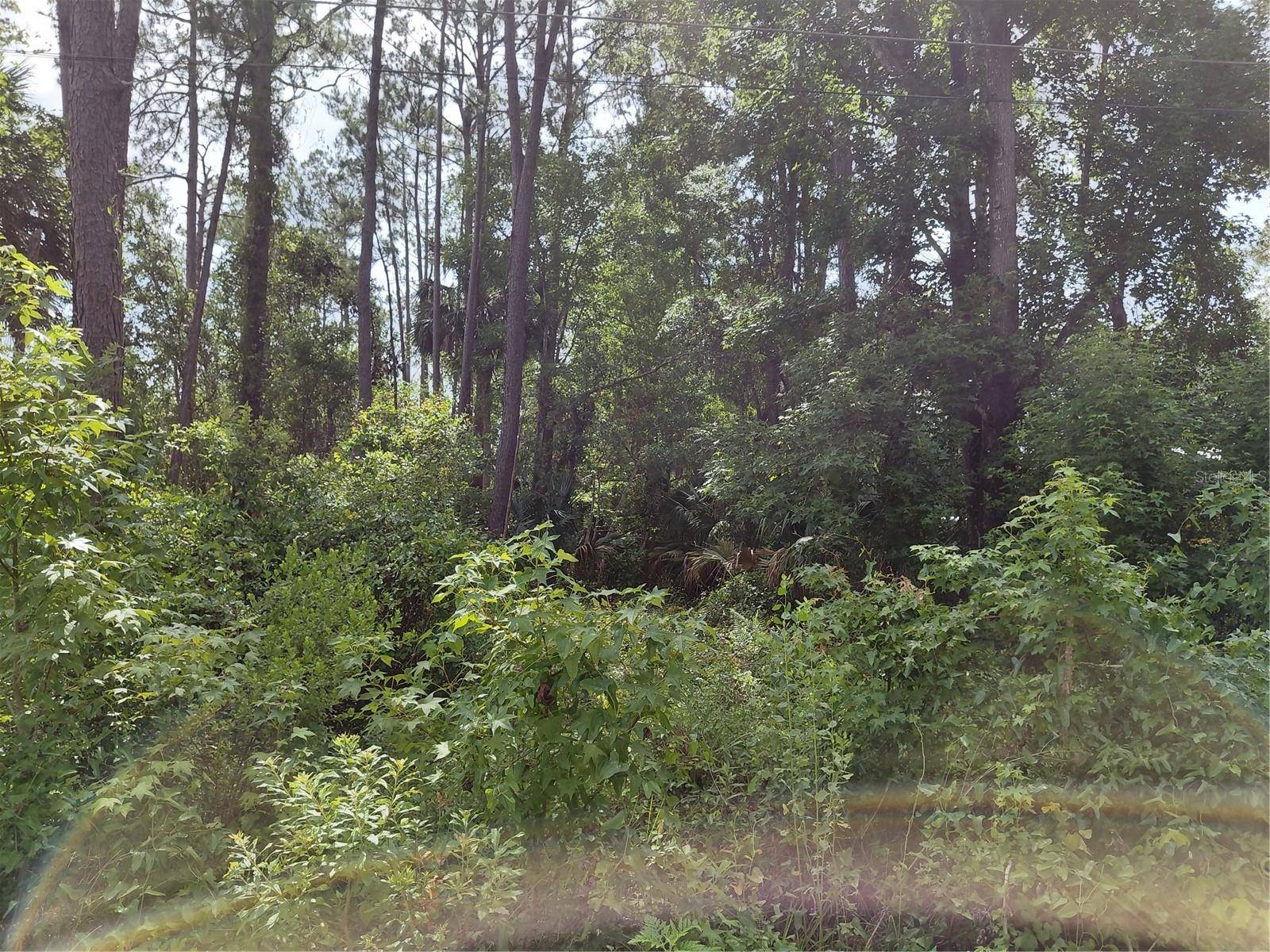 JAMES ST, Astor, FL 32102