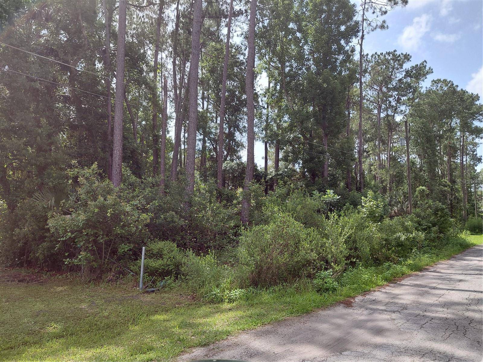 JAMES ST, Astor, FL 32102