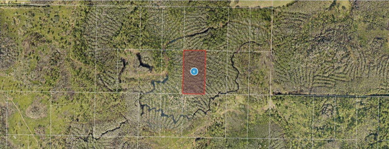 CALVIN LEE RD, Groveland, FL 34736