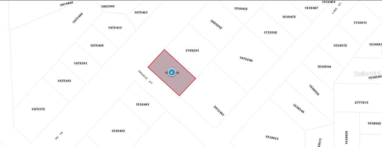 E ORANGE AVE, Eustis, FL 32726