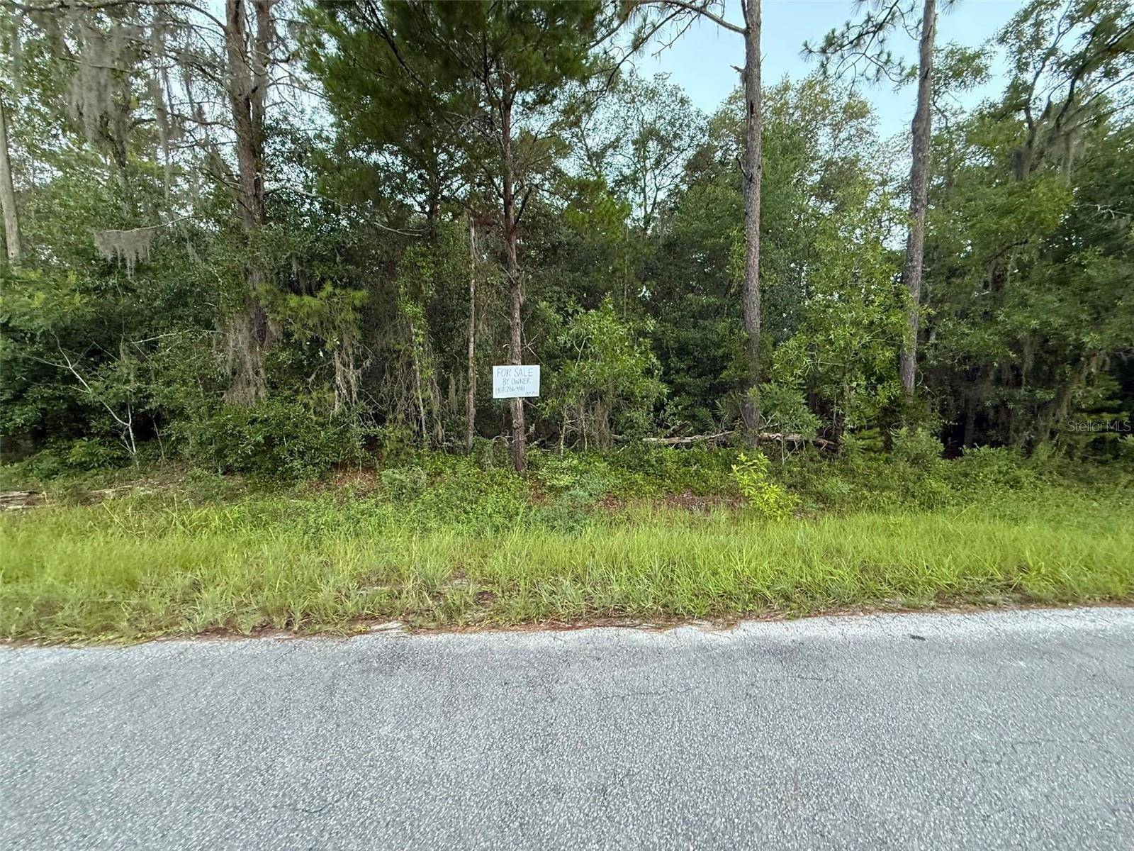 905 E HILLSBOROUGH AVE, Florahome, FL 32140