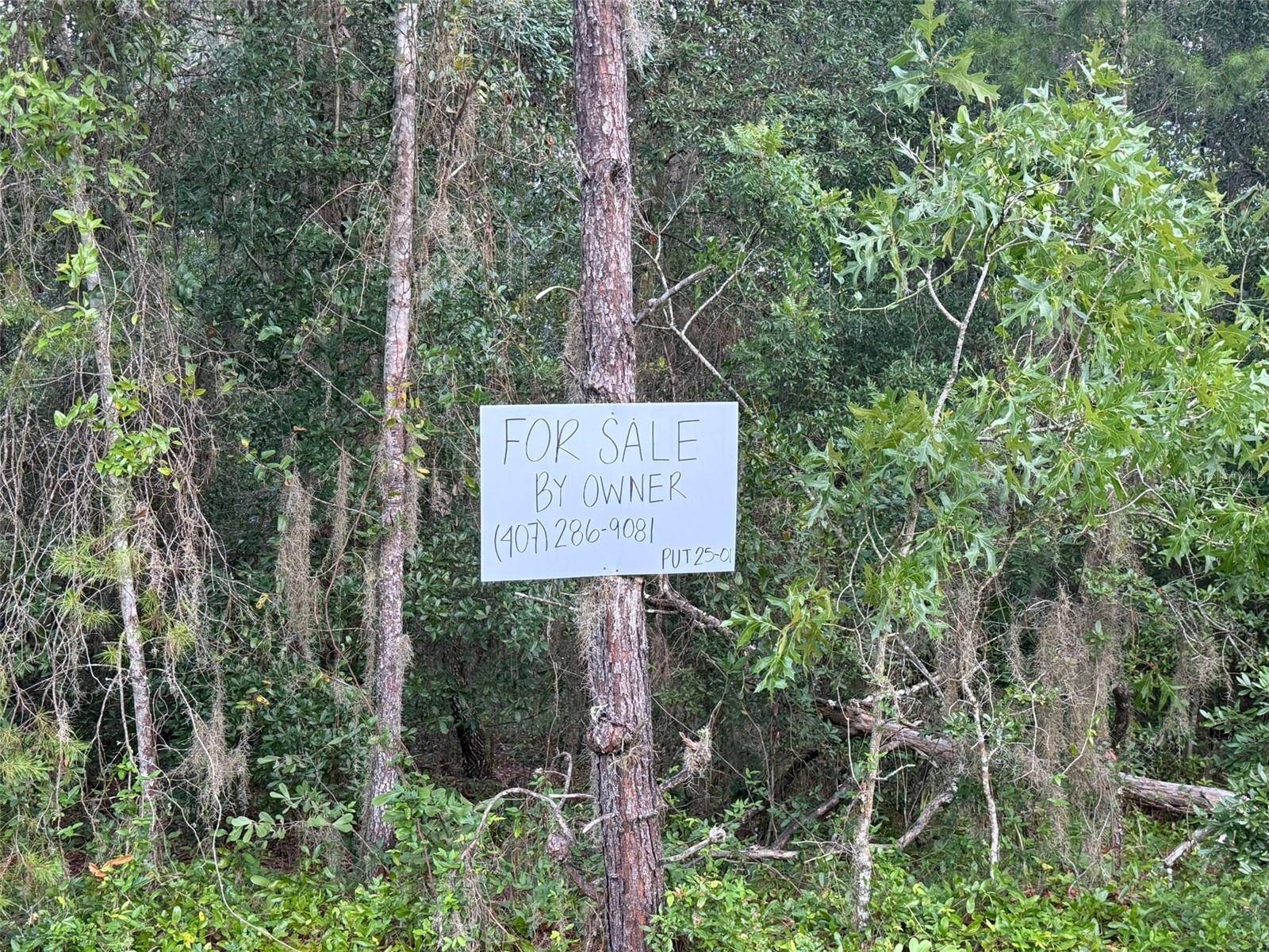 905 E HILLSBOROUGH AVE, Florahome, FL 32140