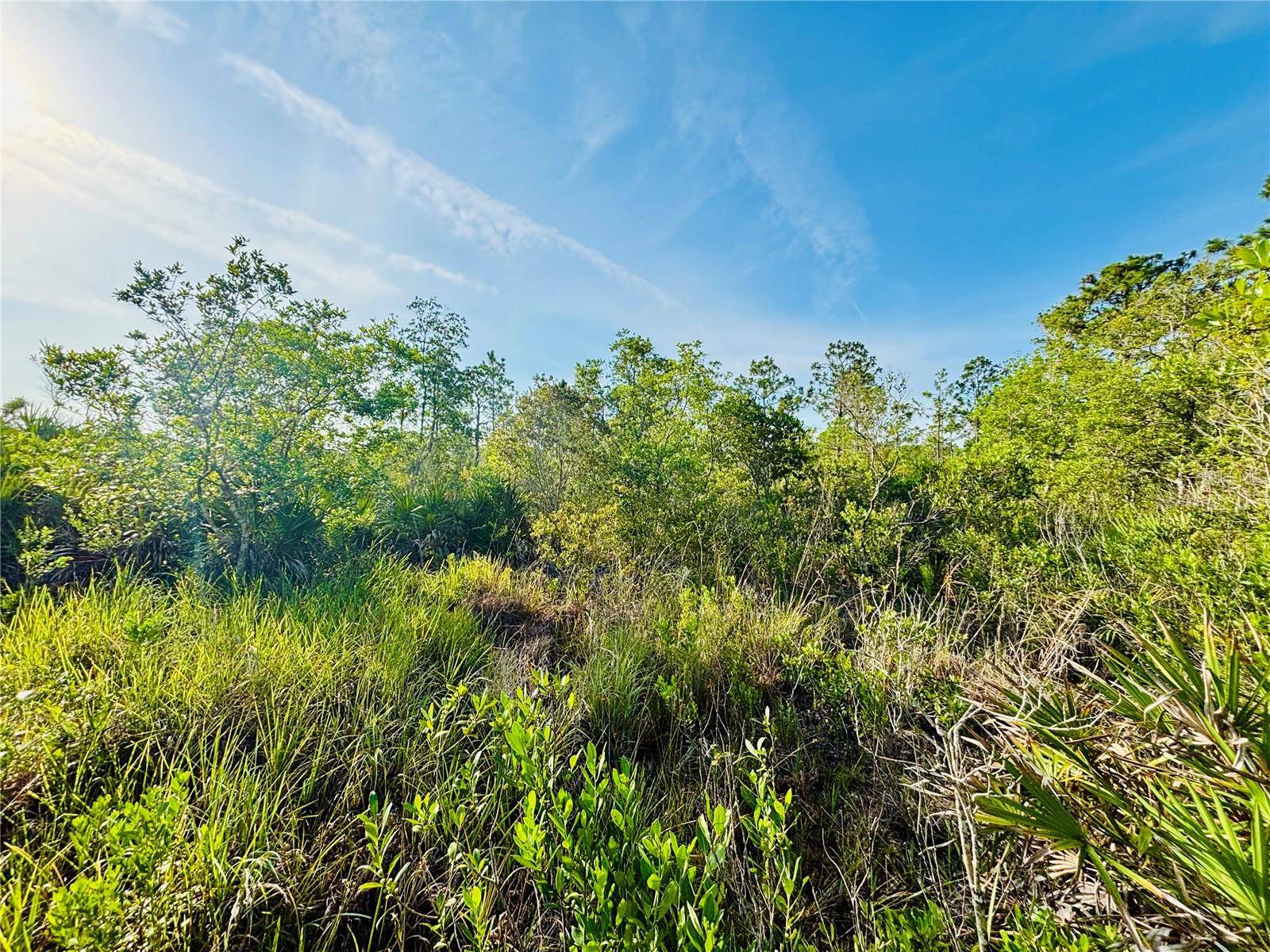 0 SHAKEDOWN STREET, St Cloud, FL 34773
