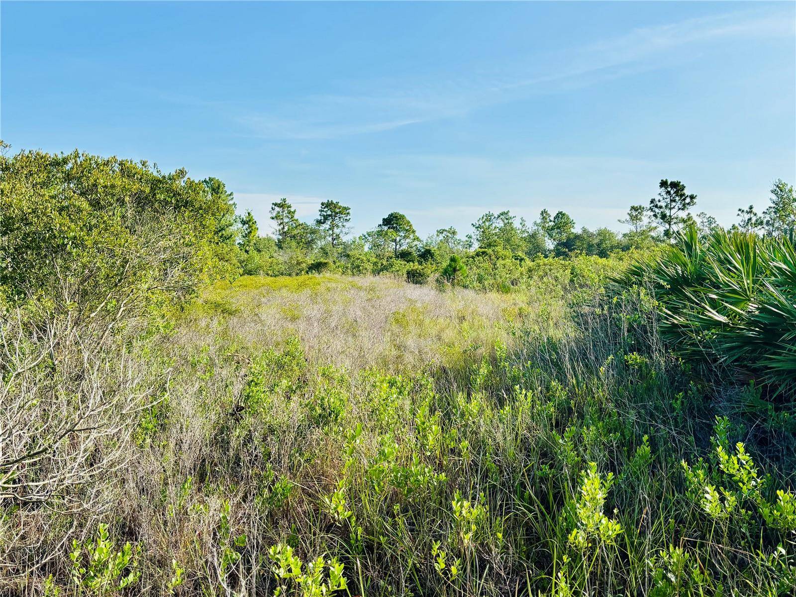 0 SHAKEDOWN STREET, St Cloud, FL 34773