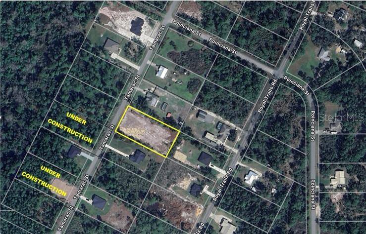 TAMARAC ST, Eustis, FL 32736