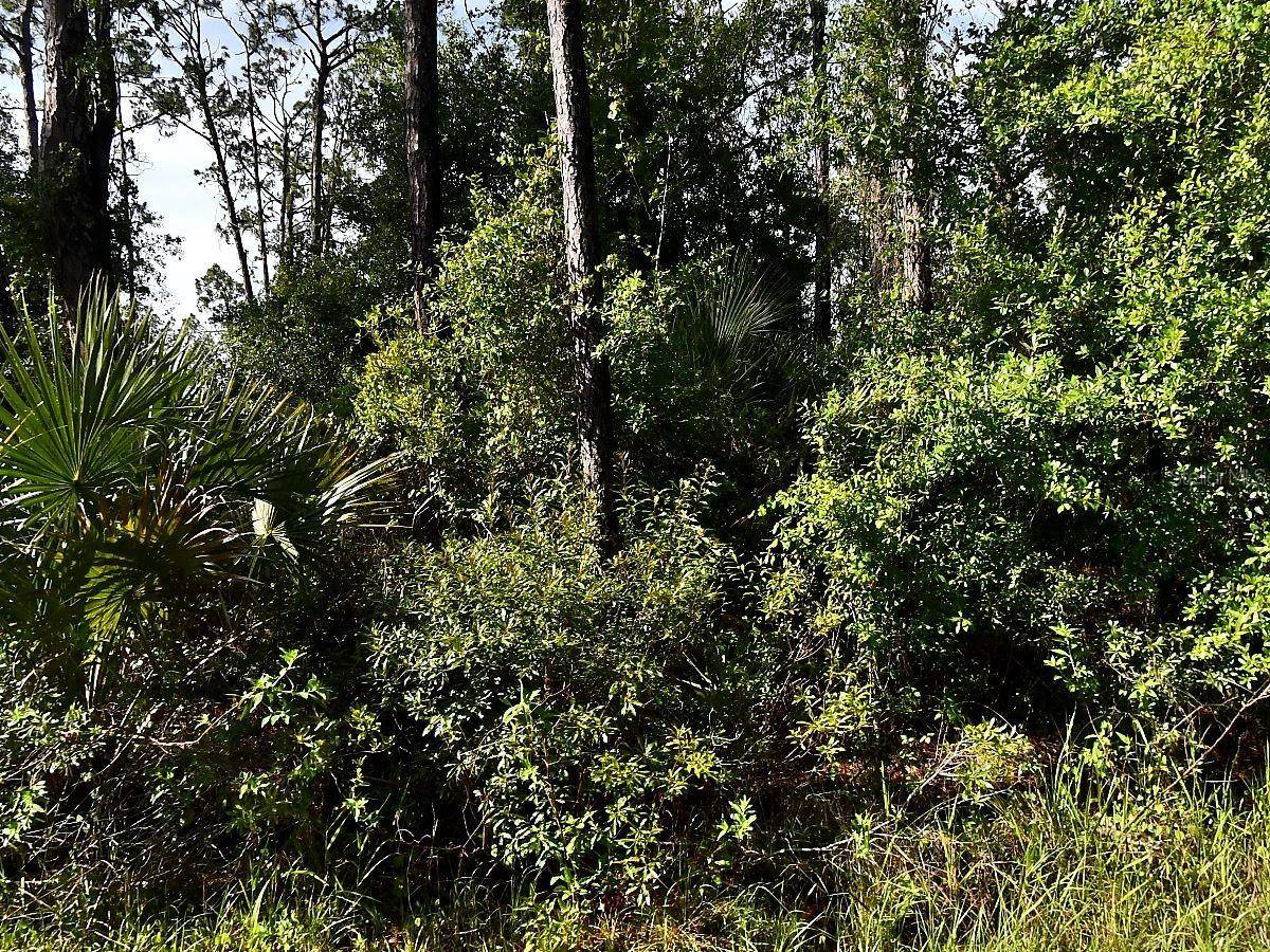 BOYD AVE, North Port, FL 34286