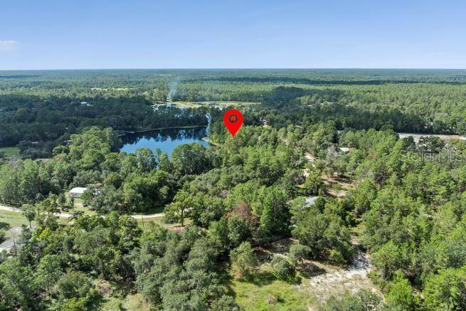 PINE VALLEY DR, Paisley, FL 32767
