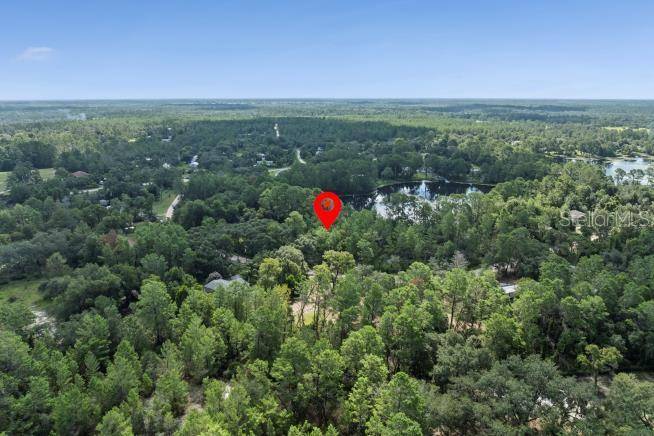 PINE VALLEY DR, Paisley, FL 32767