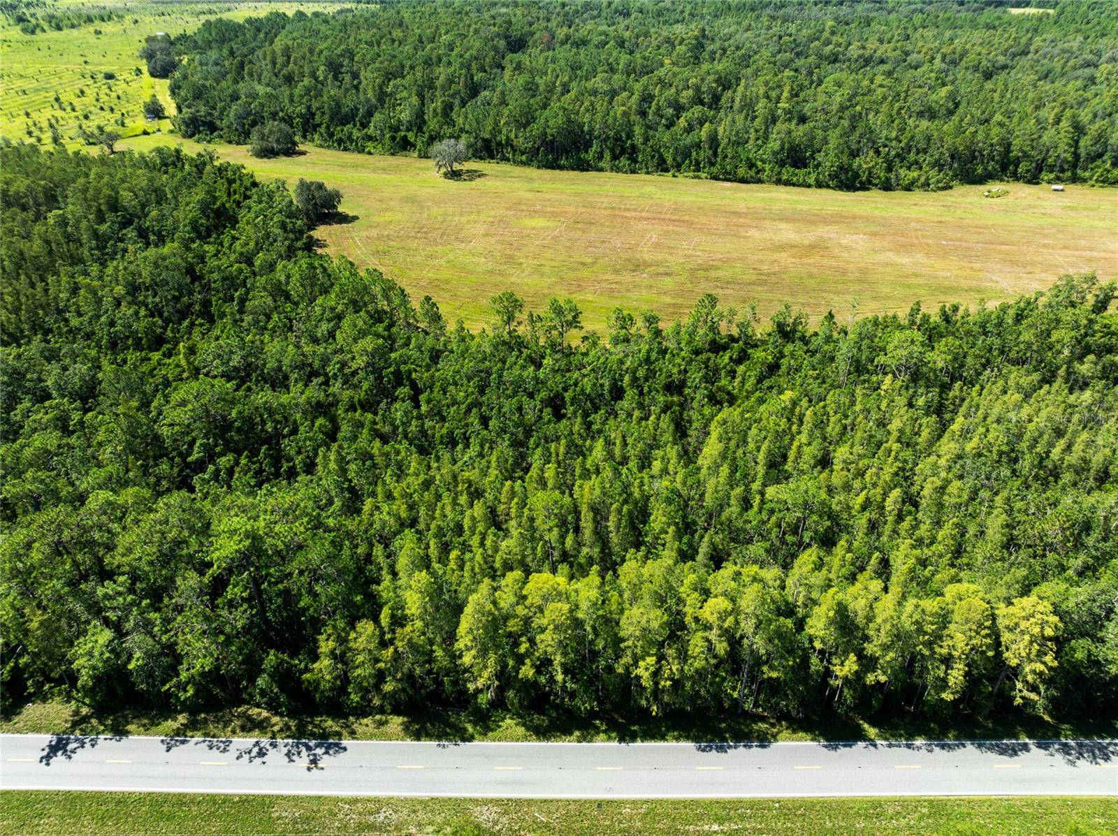 DEEN STILL RD, Polk City, FL 33868