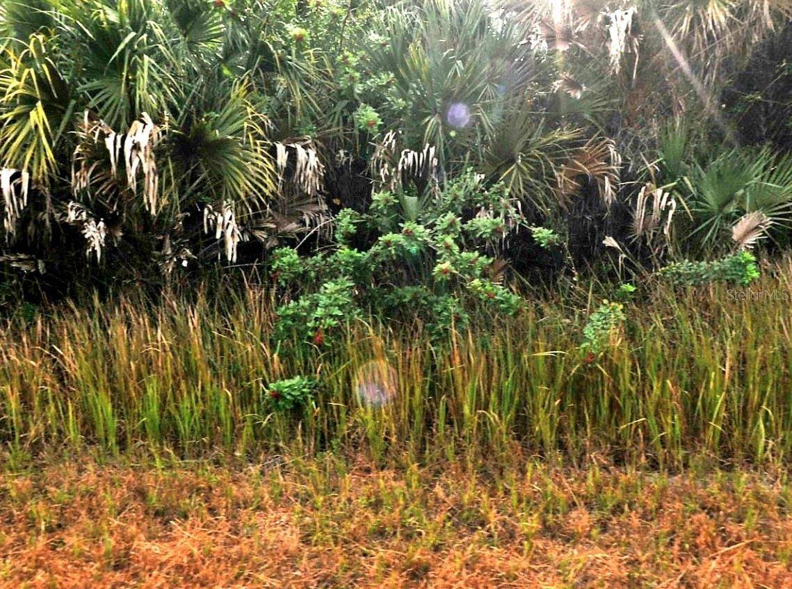 SERNICE ST, North Port, FL 34288