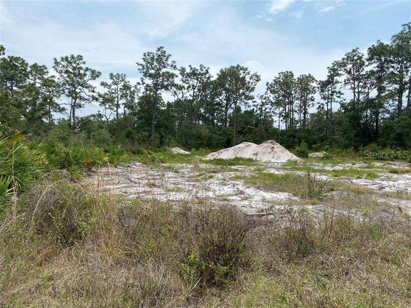 6591 DELAND AVE, Indian Lake Estates, FL 33855