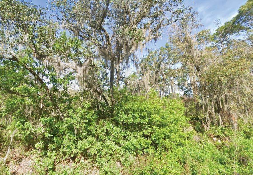 119 TEMPLE AVE, Crescent City, FL 32112