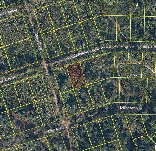 119 TEMPLE AVE, Crescent City, FL 32112