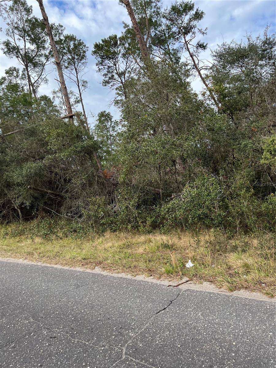 FISHERMANS RD, Paisley, FL 32767