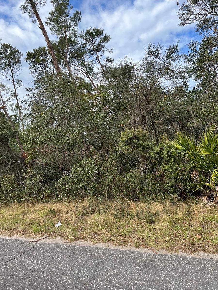 FISHERMANS RD, Paisley, FL 32767