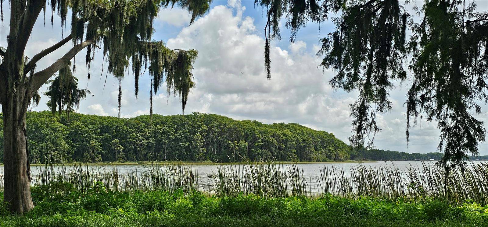 PINE ISLAND DR, Leesburg, FL 34788