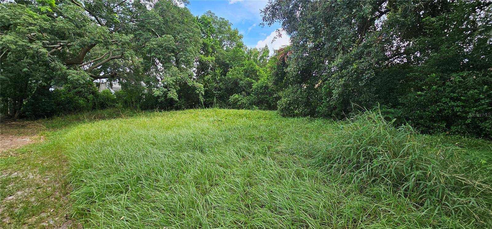 PINE ISLAND DR, Leesburg, FL 34788