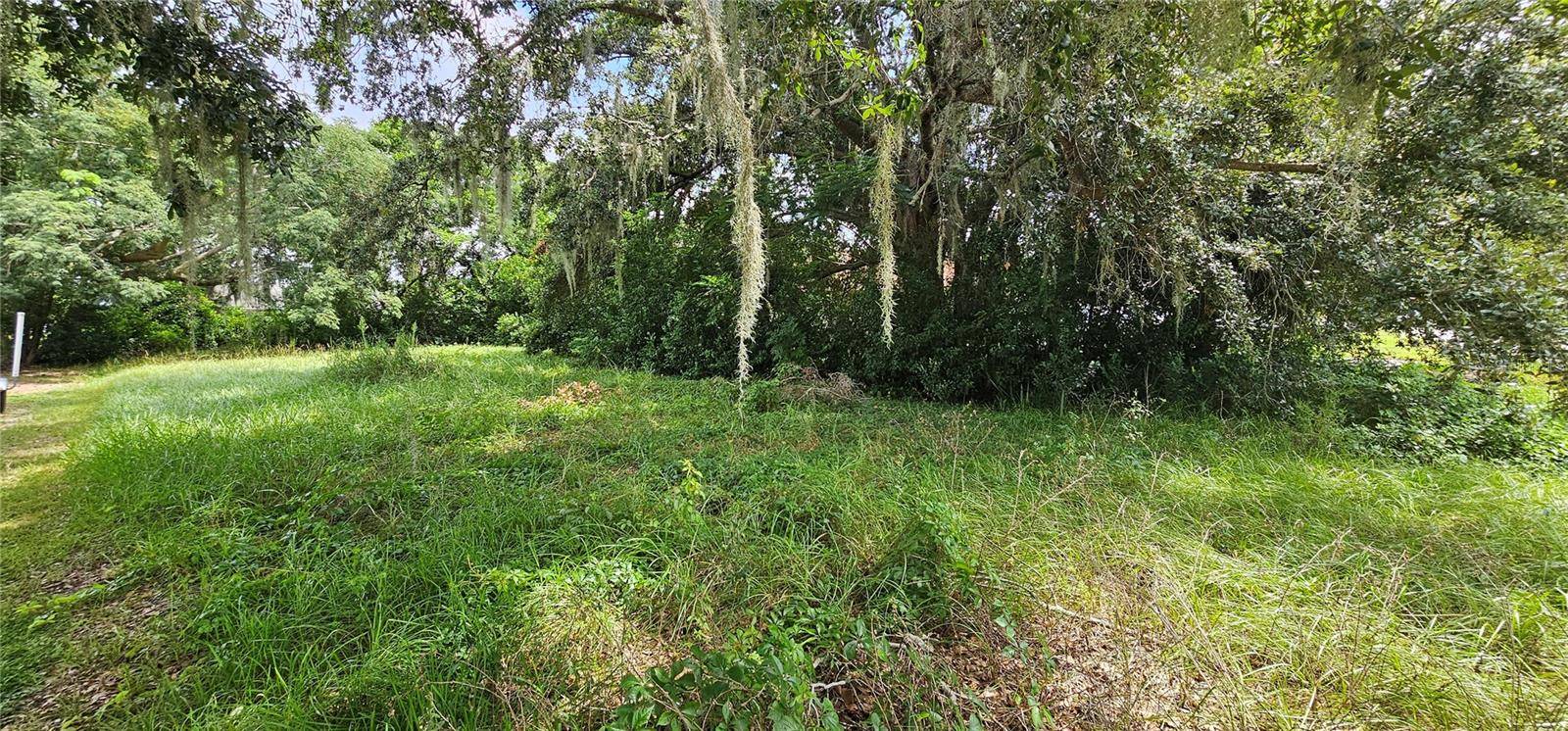 PINE ISLAND DR, Leesburg, FL 34788