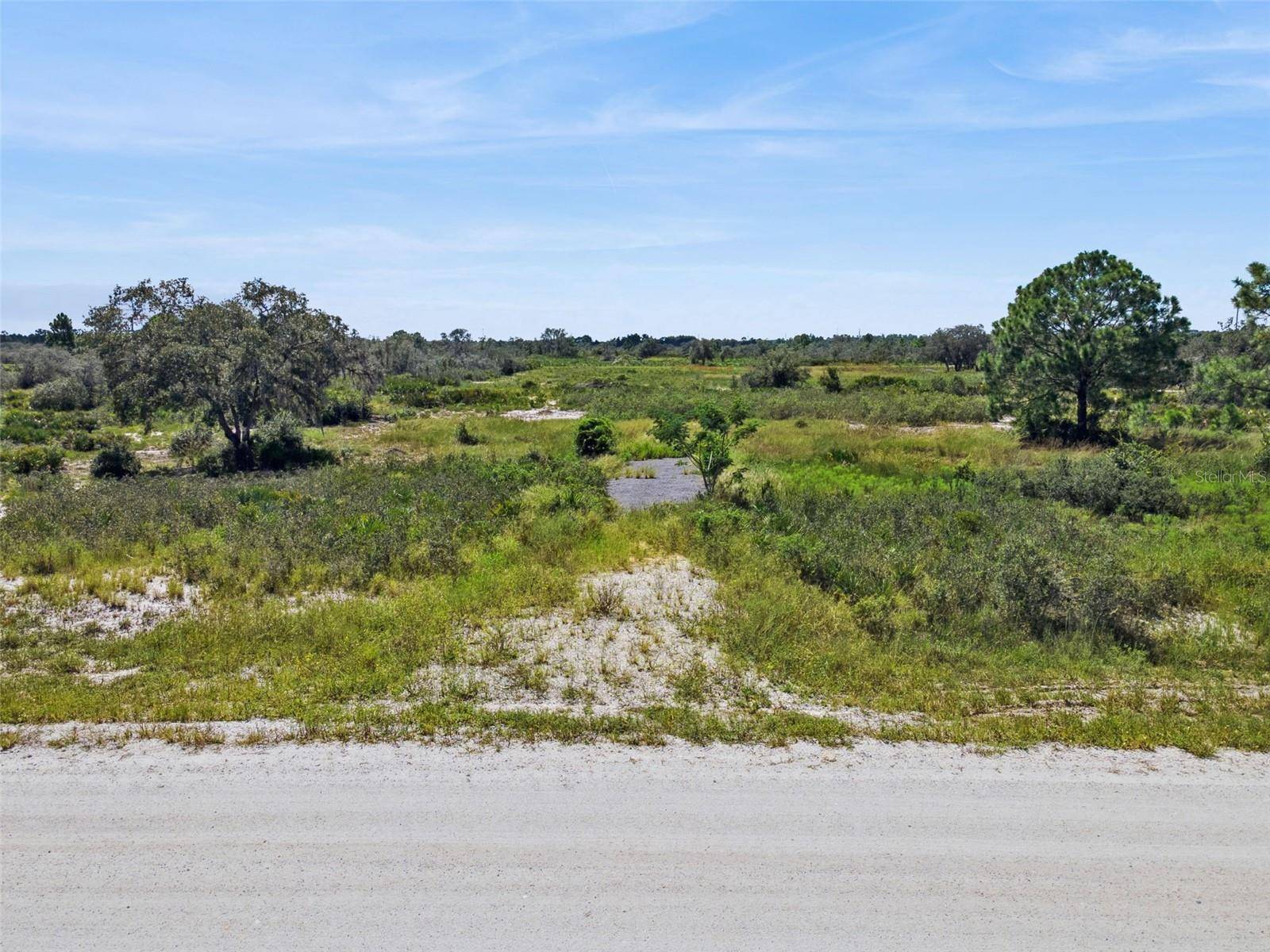 2253 W SHULA RD, Avon Park, FL 33825