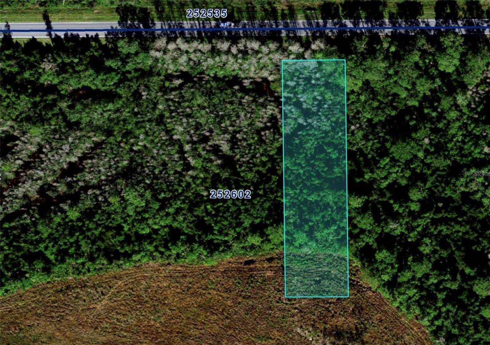 DEEN STILL RD E, Polk City, FL 33868