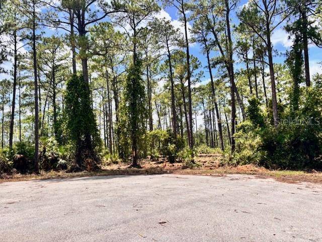 CHINABERRY WAY, Eustis, FL 32736