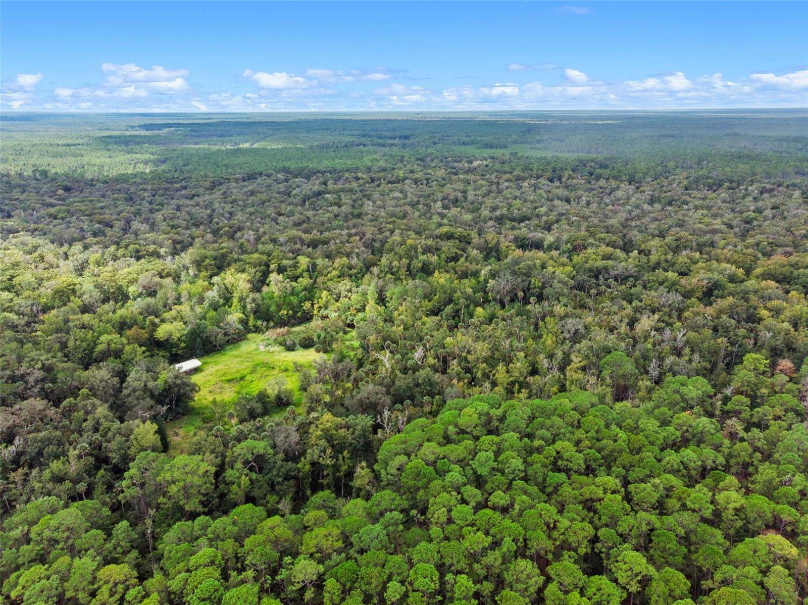 NFS 73 / ALCO RD, Astor, FL 32102