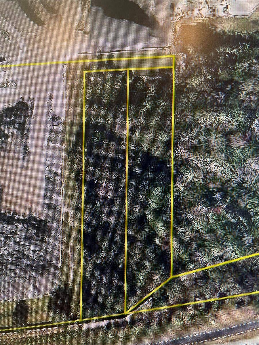 12325 & 12303 STAGG RD, Winter Garden, FL 34787