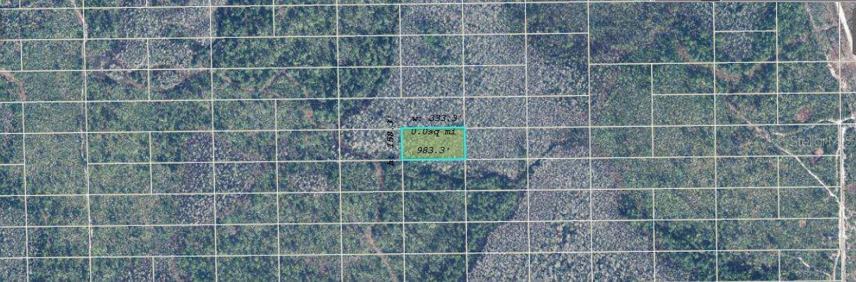 DILL RD, Orlando, FL 32820