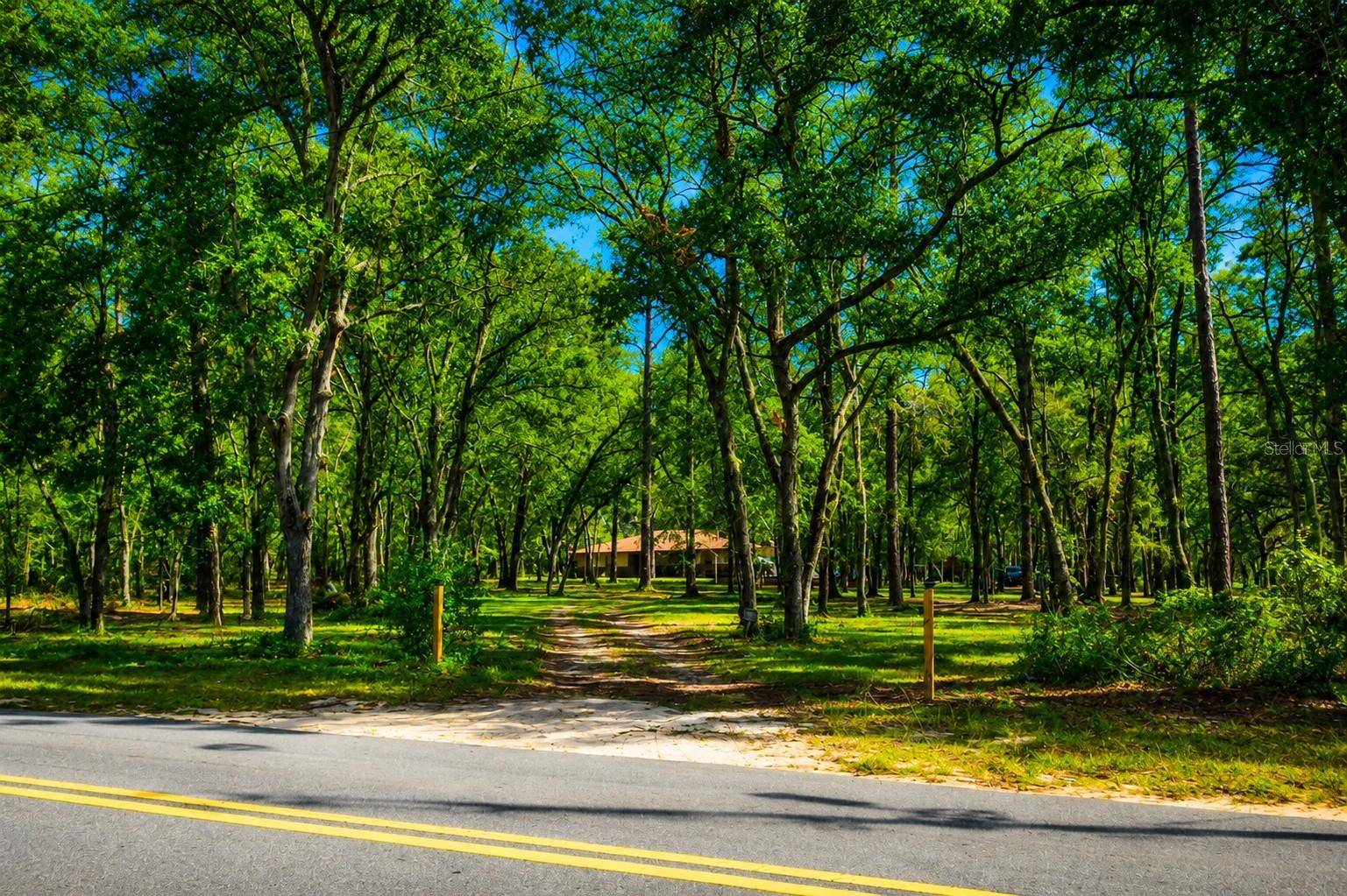 37600 ROLLING ACRES RD, Lady Lake, FL 32159