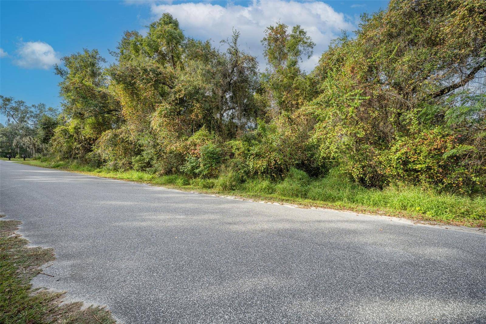 ROYAL OAK RD, Fruitland Park, FL 34731