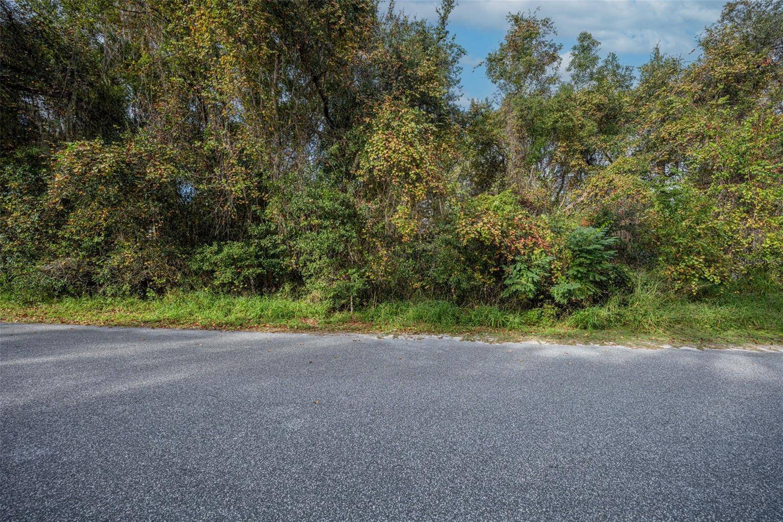 ROYAL OAK RD, Fruitland Park, FL 34731