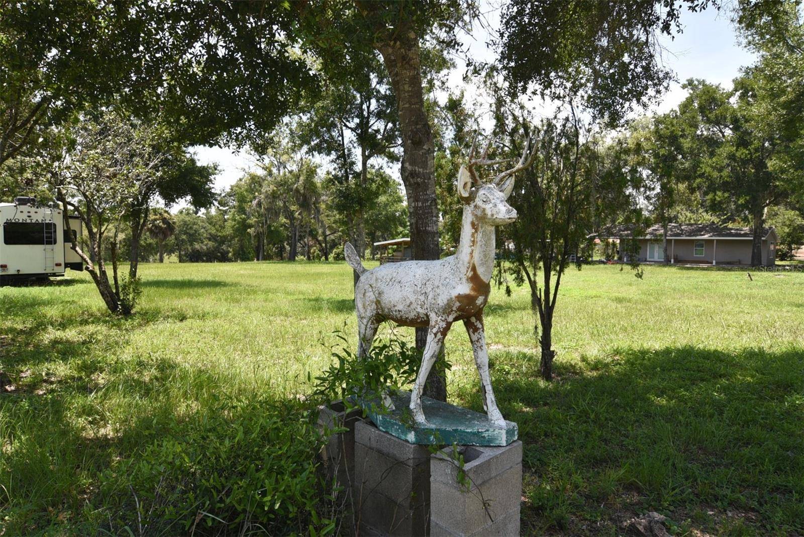 3100 POVERTY LN, Apopka, FL 32712