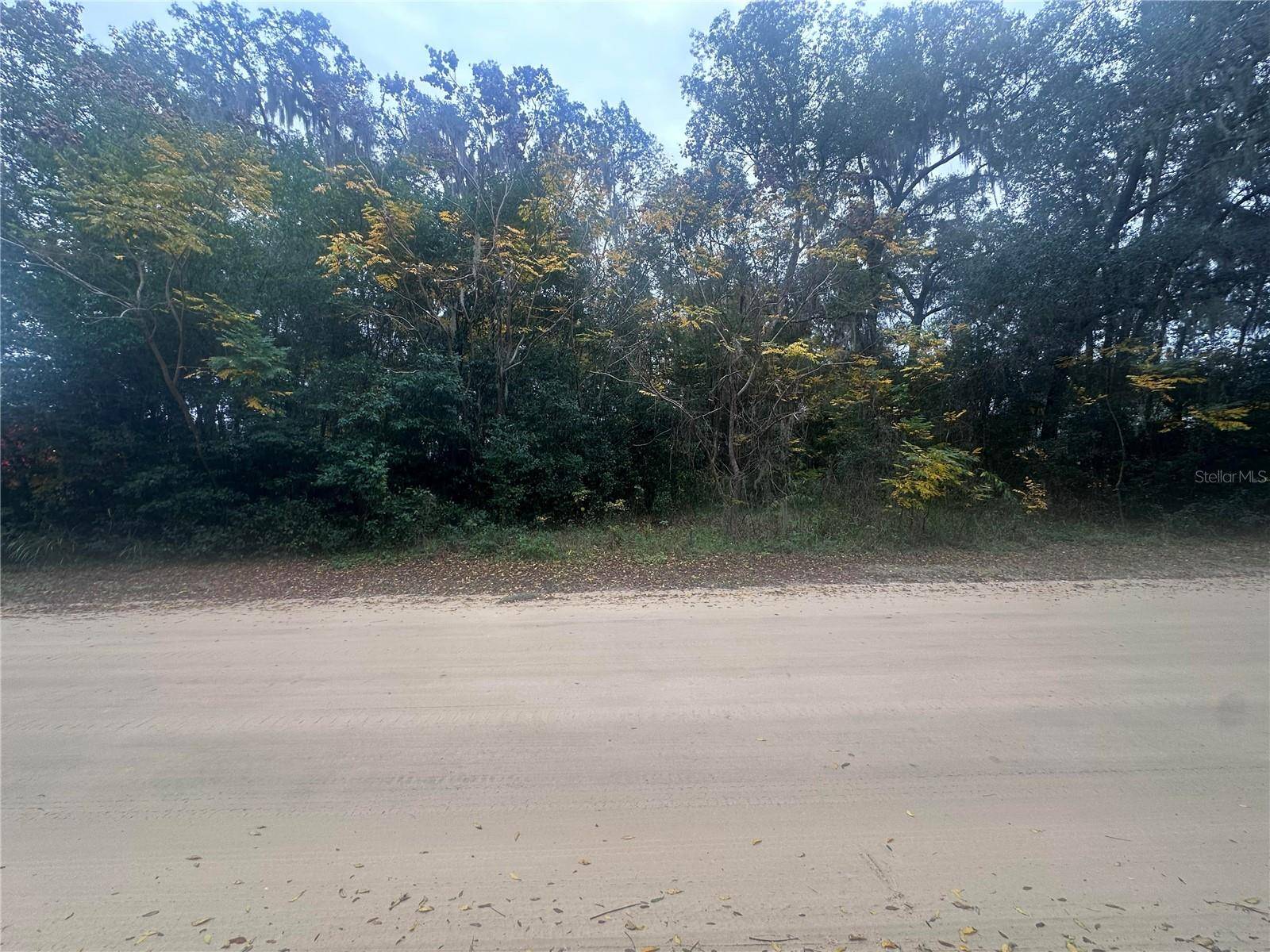 SR-19, Altoona, FL 32702