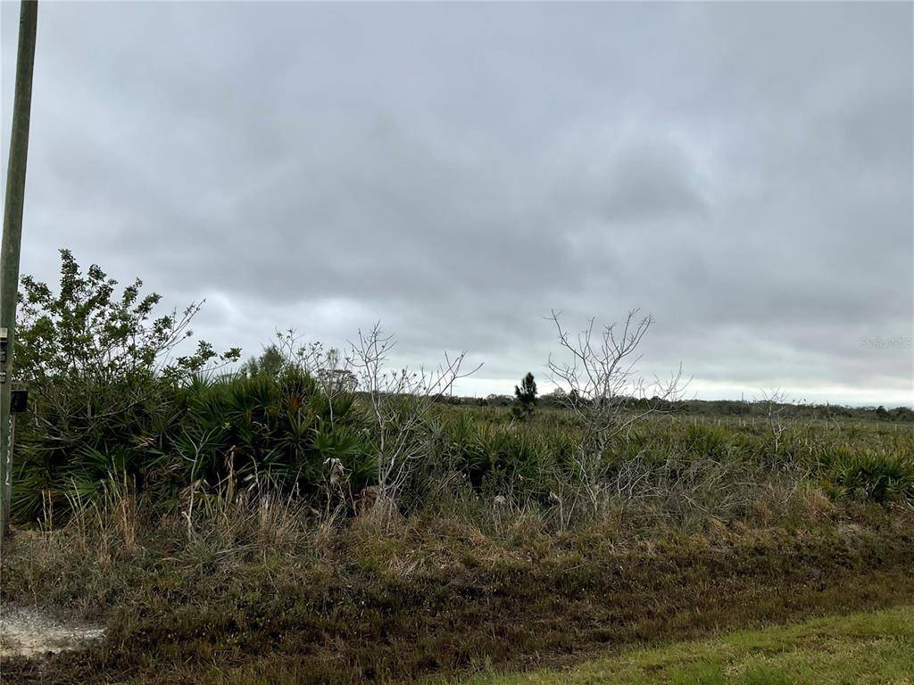 18884 NW 250TH ST, Okeechobee, FL 34972