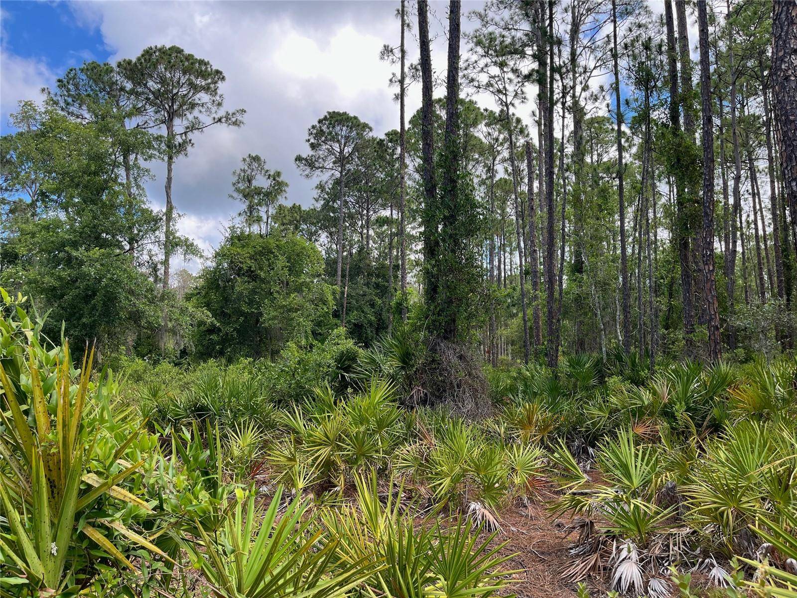 222 MARIE AVE, Georgetown, FL 32139
