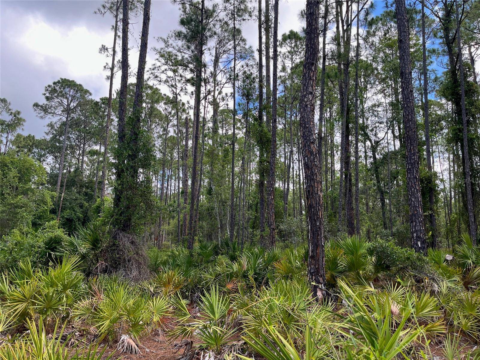 222 MARIE AVE, Georgetown, FL 32139